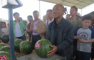 房县吃瓜群众,揭秘当地独特饮食文化