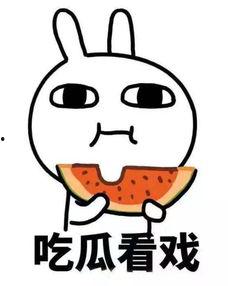 盯吃瓜的动漫,揭秘动漫界的“瓜田”风云
