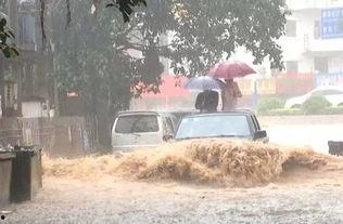 深圳大暴雨吃瓜,市民共度难关，吃瓜群众见证城市韧性