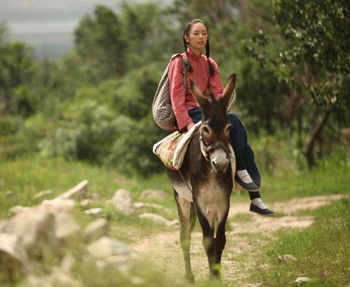 四哥骑驴吃瓜,闲适生活的一日趣事