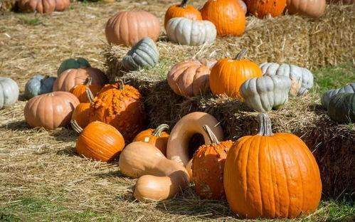 呜潮吃瓜,揭秘网络热点的背后故事