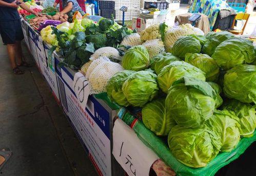 瓜摊现吃,夏日清凉新体验