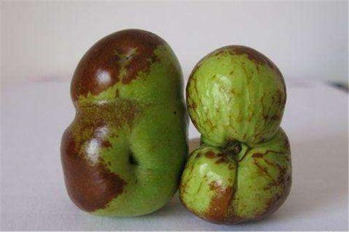 歪瓜裂枣怎么吃