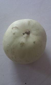 啥也不会就会吃瓜,揭秘网络时代的全民娱乐现象